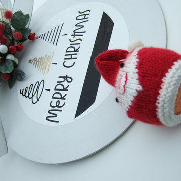 Father Christmas chocolate orange cover