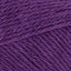 Black Currant (1318)