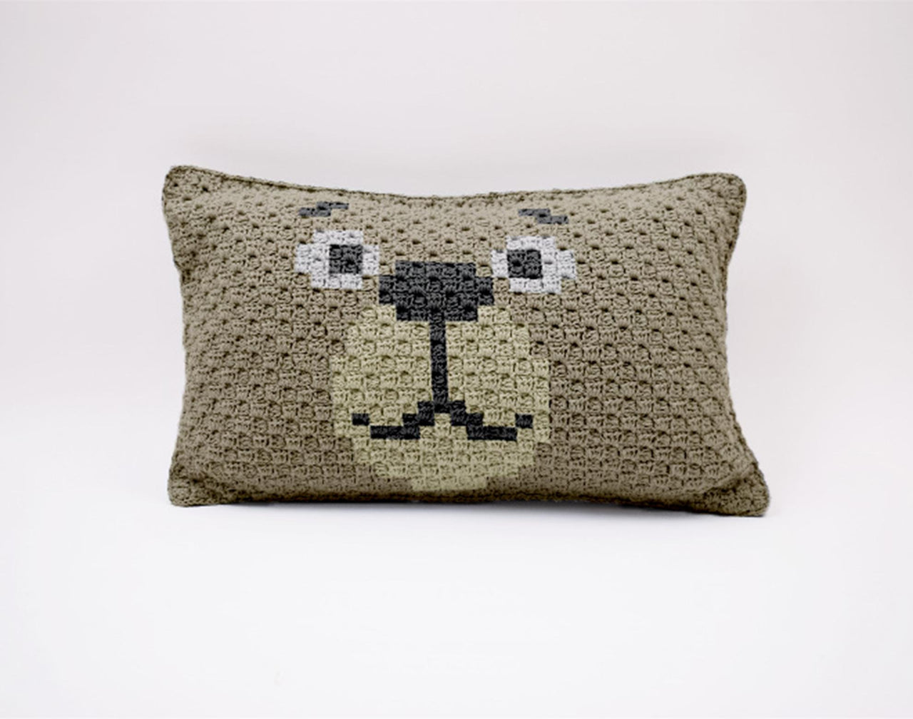 Easy Teddy Bear Pillow C2C Crochet Pattern