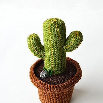 Desert Cactus Amigurumi Crochet Pattern