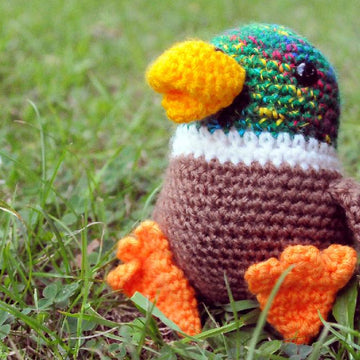 Terrance the Mallard
