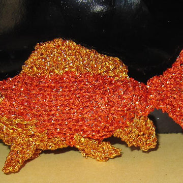 My Pet Goldfish