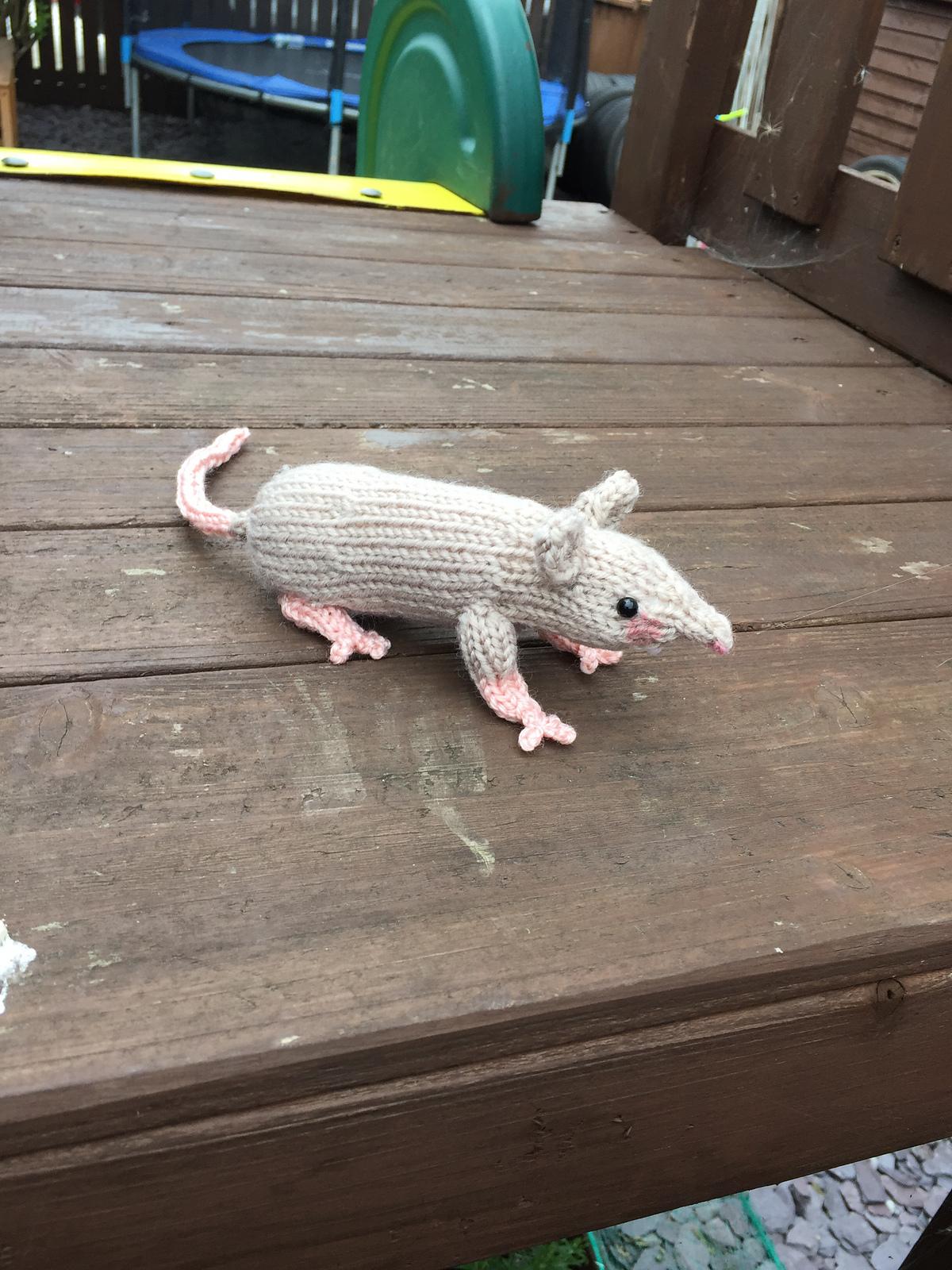 Raymond the Rat