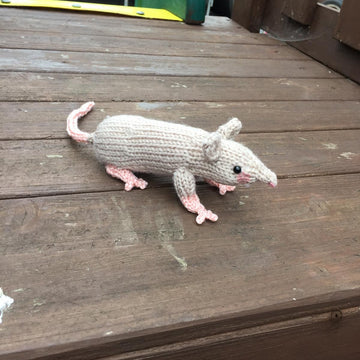Raymond the Rat