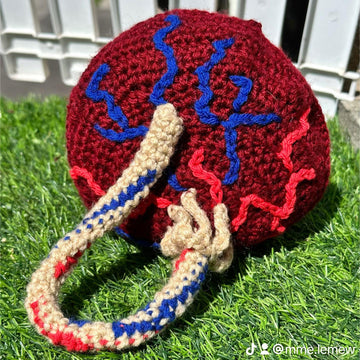 Anatomical Placenta