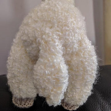 Eli The Alpaca