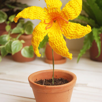 Crochet Lily