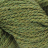 Earth Ivy (1309)