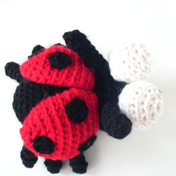 Vera the Ladybug