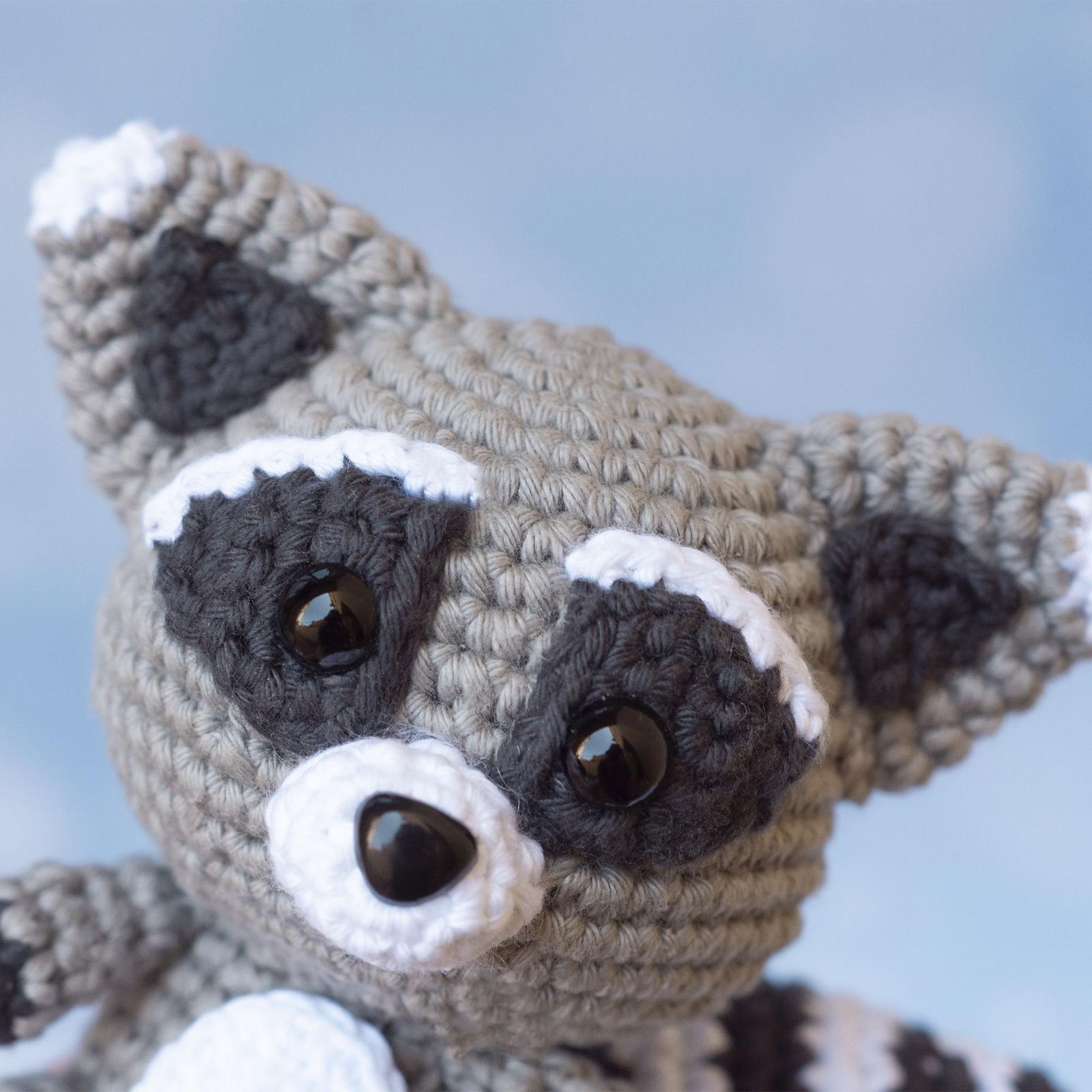 Baby Racoon