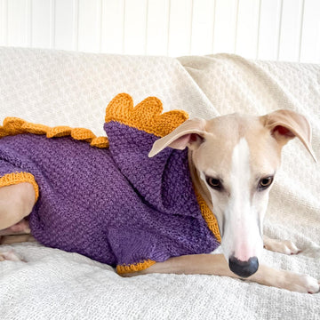 Doggo 16 dragon sweater