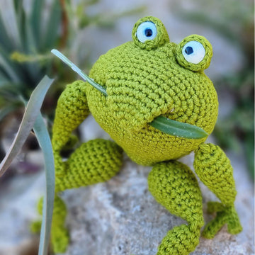 Frog amigurumi keychain bag charm with jacket crochet pattern P19