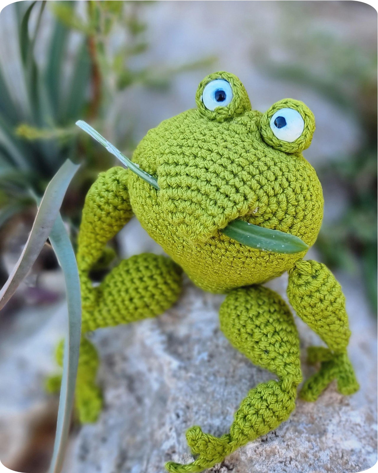 Frog amigurumi keychain bag charm with jacket crochet pattern P19