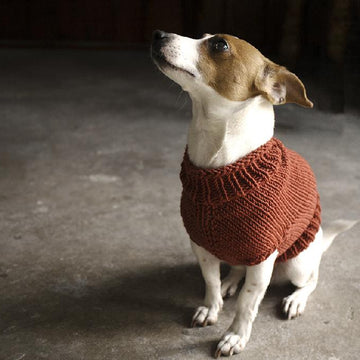 The Juno Jumper