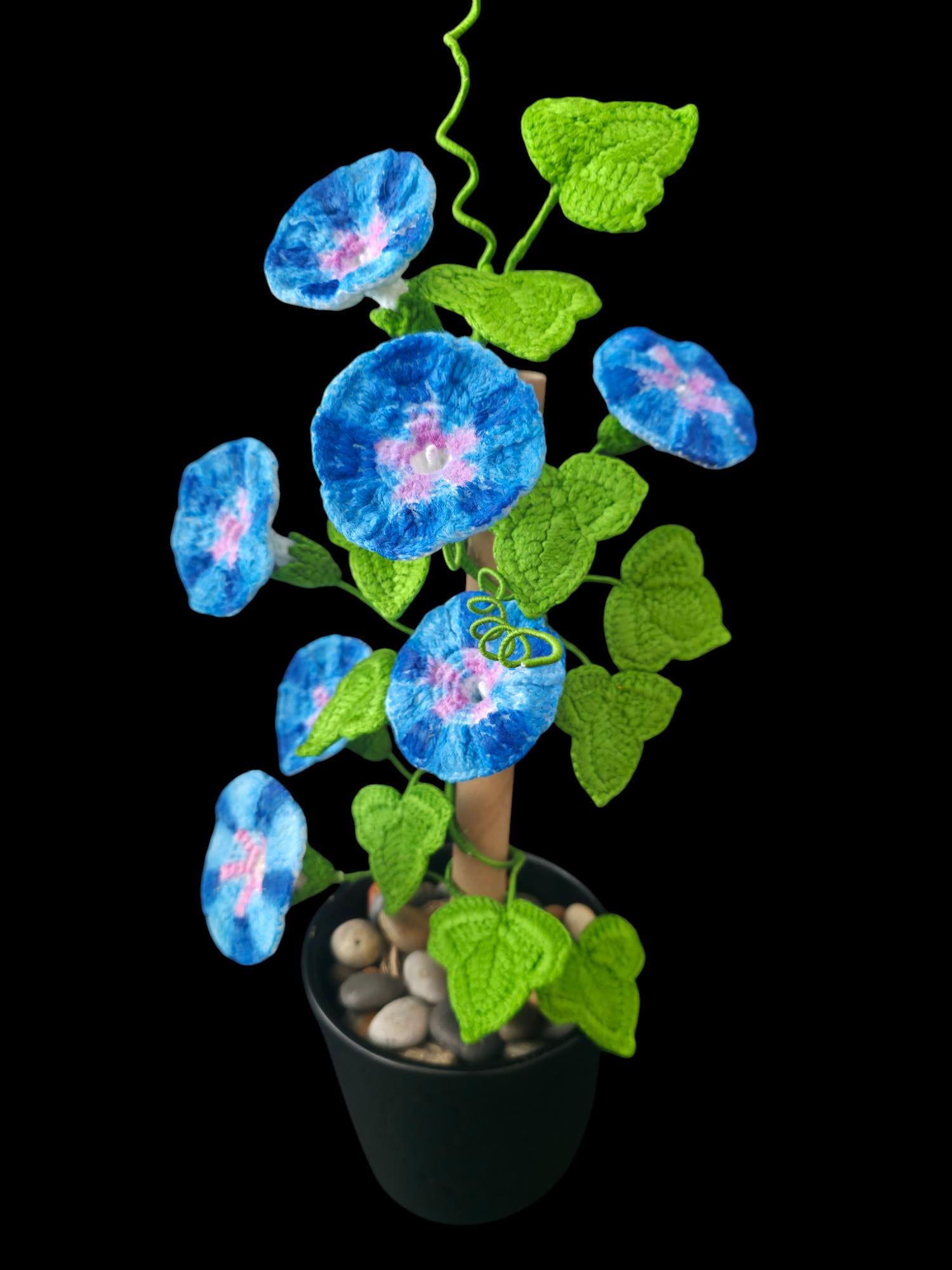 Crochet Morning Glory flowers pattern