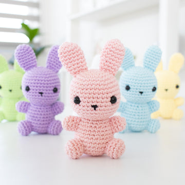 Rabbit - Baby #13