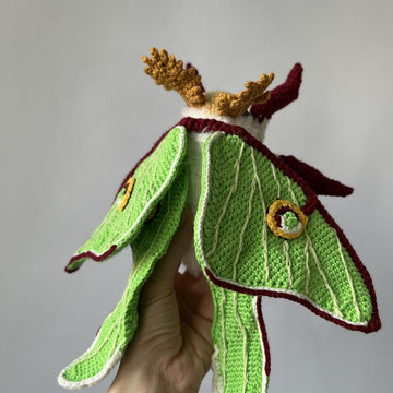 Luna Moth