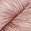 Rose (16)
