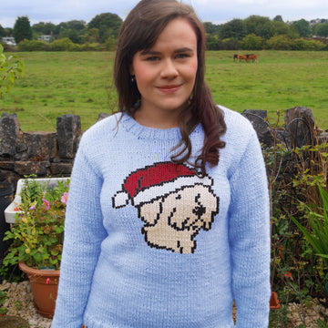 Intarsia - Christmas Dog Chart - Adults Sweater