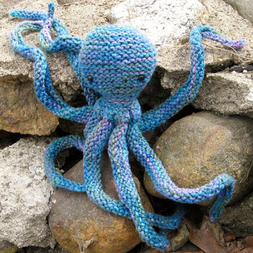 Acht the Octopus
