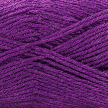 Grape Juice (146)