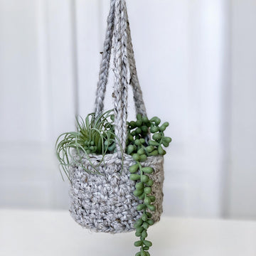 The Lemon Peel Planter 056