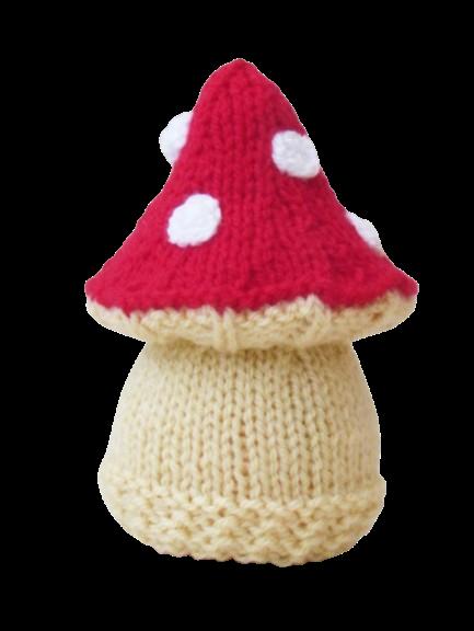 Toadstool Chocolate Orange Cosy