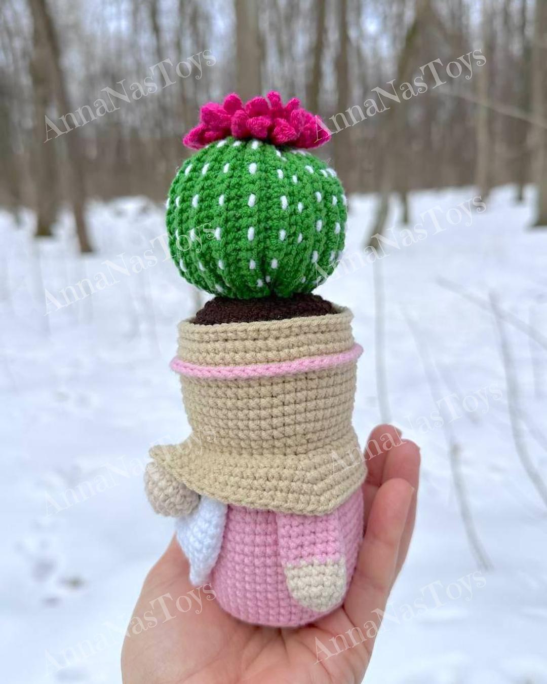 Gnome-cactus in a pot 5