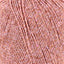 Beach Rose (8111)