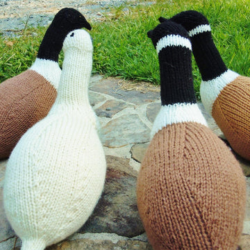 Betsy's Goose