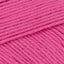 Fuchsia (21)