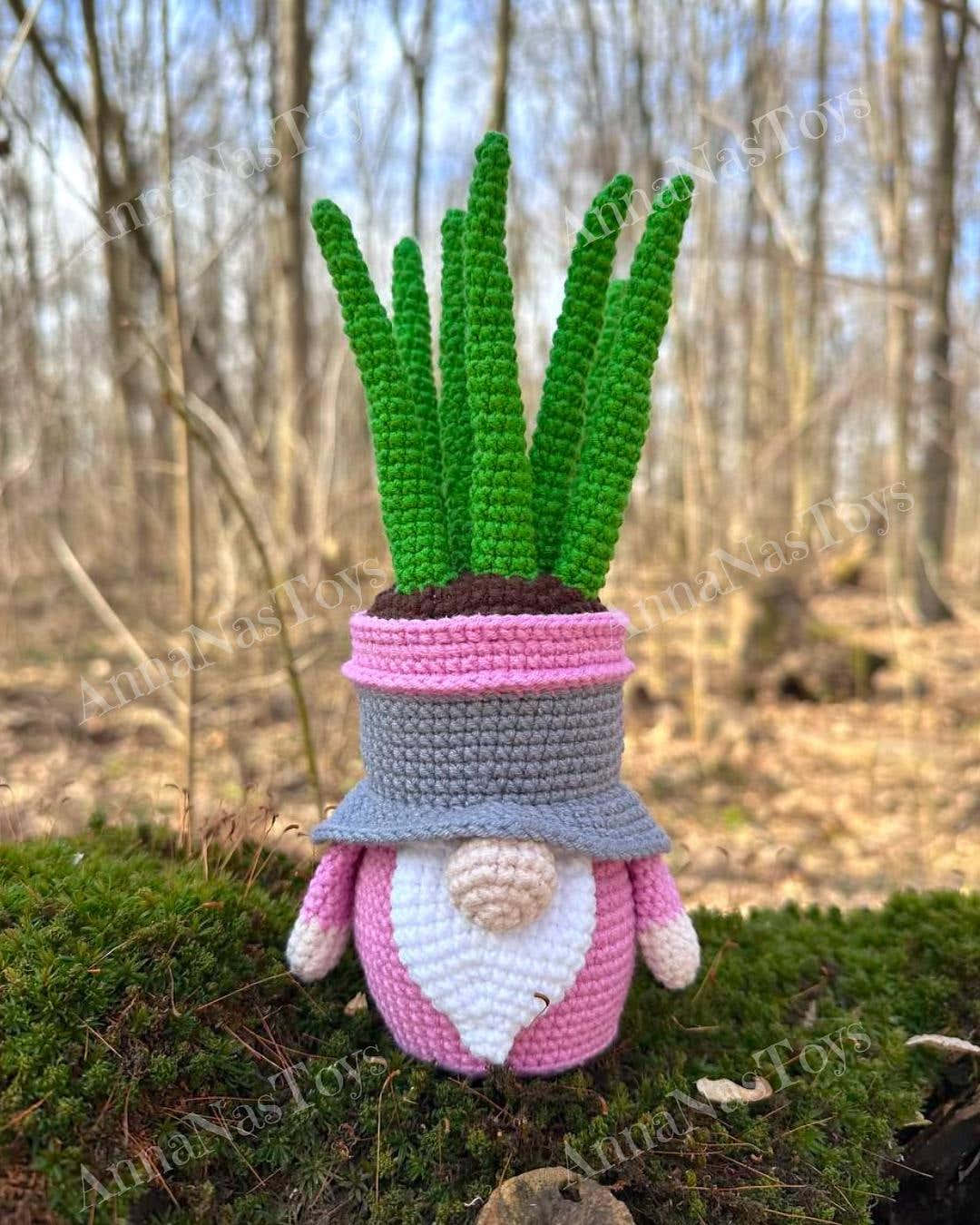 Gnome succulent_sansevieria 3