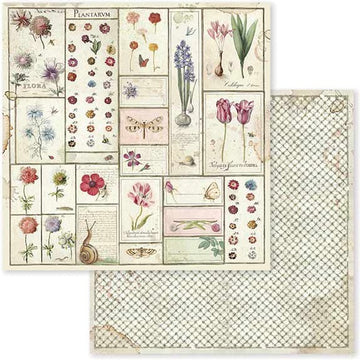 Stamperia Intl Stamperia Double-Sided Cardstock 12"X12" 10/Pkg - Spring Botanic Herbarium