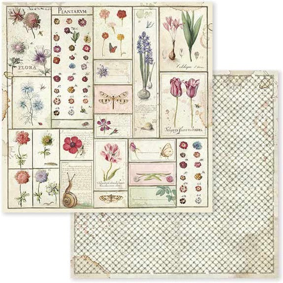 Stamperia Intl Stamperia Double-Sided Cardstock 12"X12" 10/Pkg - Spring Botanic Herbarium