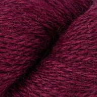 Beetroot (7)