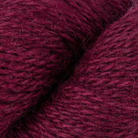 Beetroot (7)