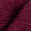 Beetroot (7)