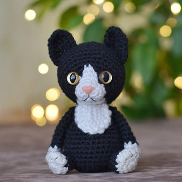Tuxedo cat