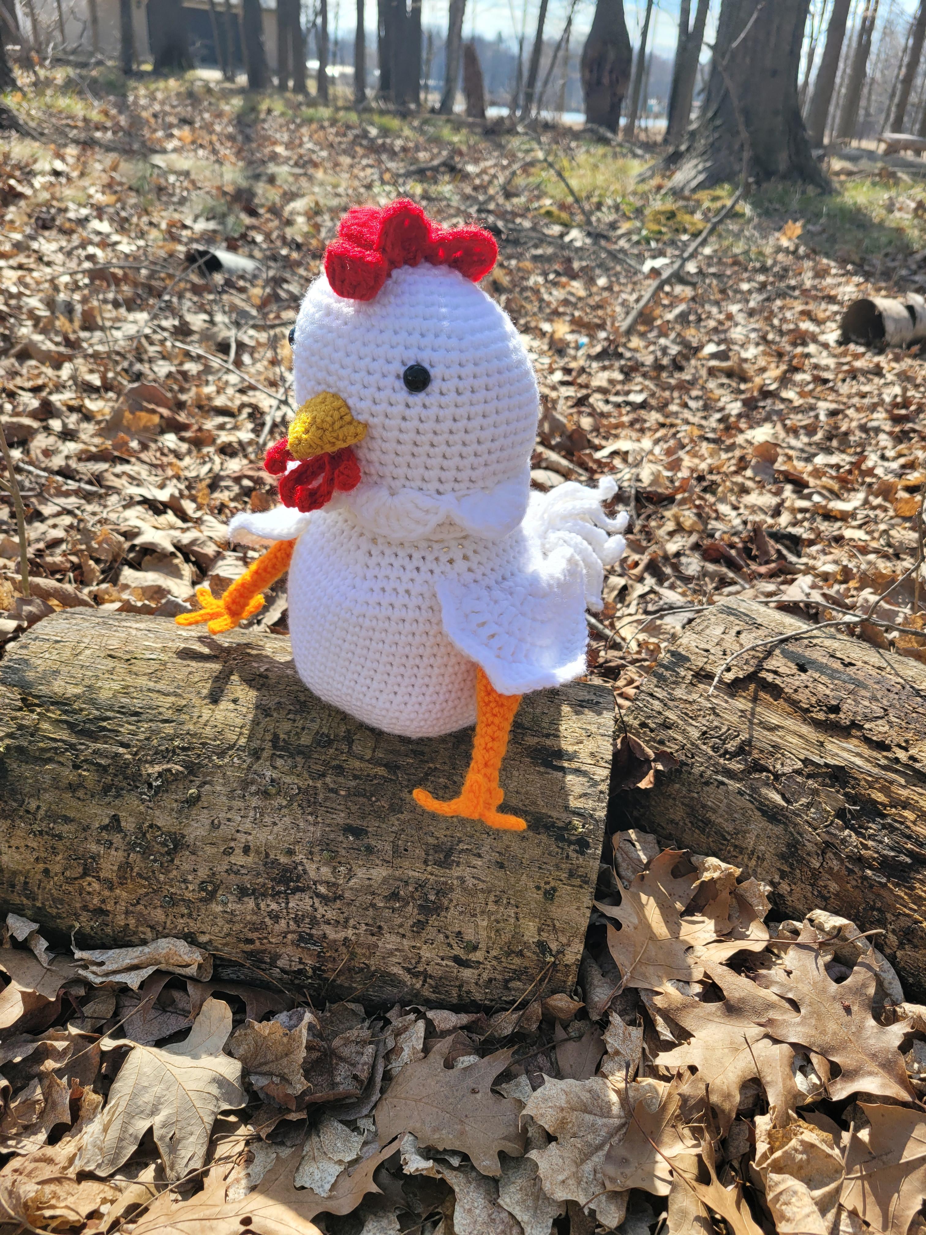Chicken Treat Stash Jar