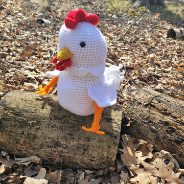 Chicken Treat Stash Jar