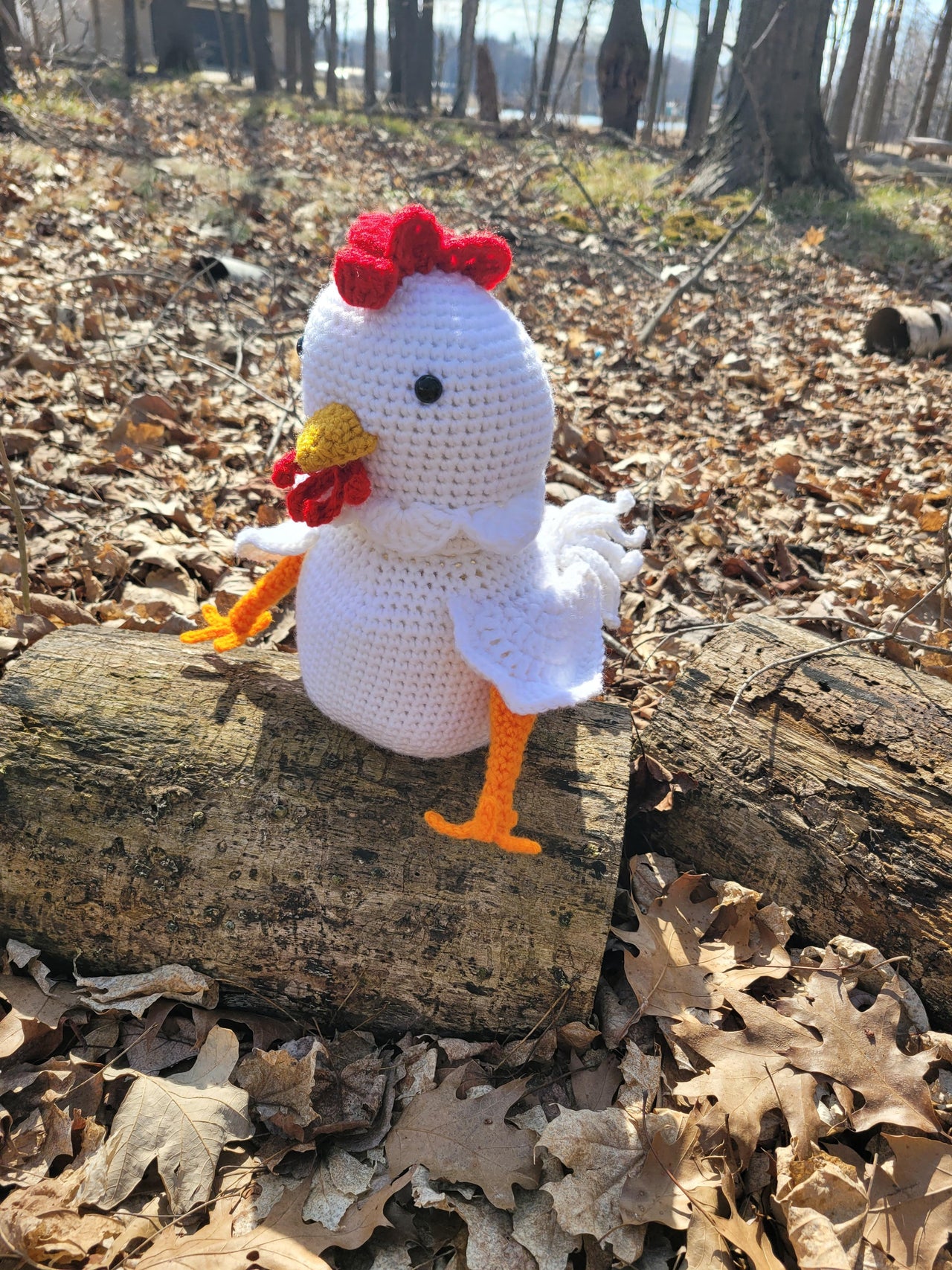 Chicken Treat Stash Jar