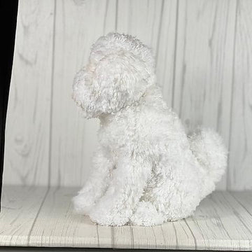 Bichon Dog