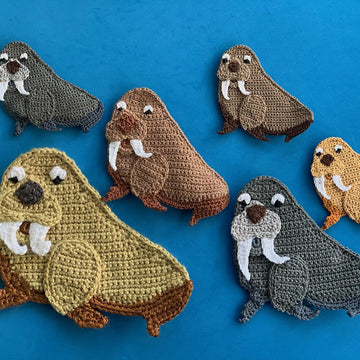 Walrus