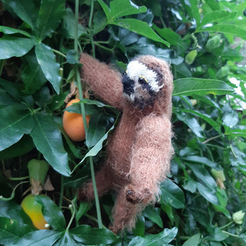 Sloth