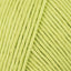Lime (50)