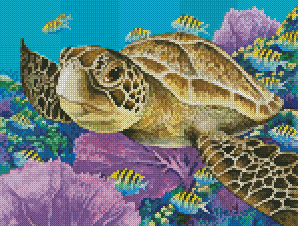 Mini Young Green Sea Turtle - #14323-MGL