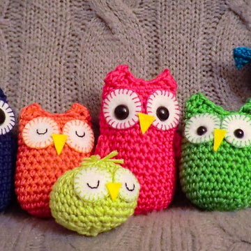 Rainbow owls