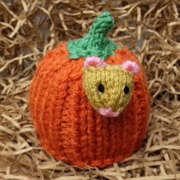 Harvest Mouse Pumpkin - Chocolate Orange Cover