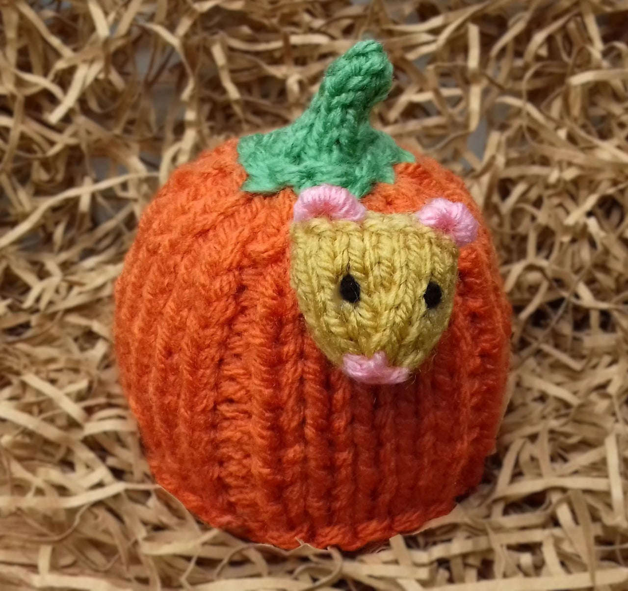 Harvest Mouse Pumpkin - Chocolate Orange Cover