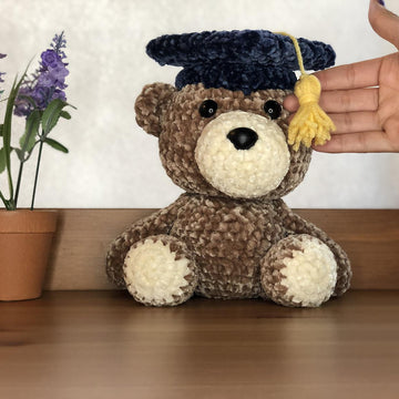 Graduation Teddy Bear